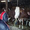 Onnion 2006 43